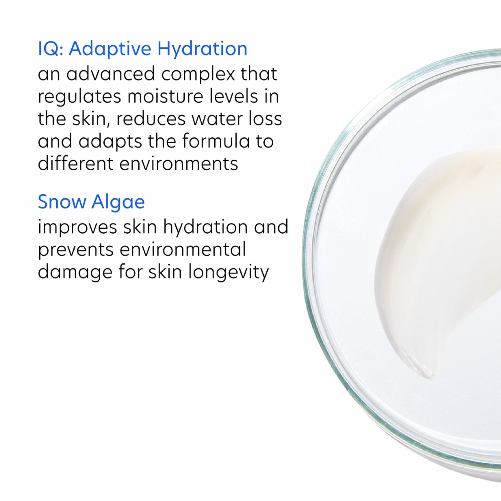 The Line-Smoothing Essentials | PCA SKIN